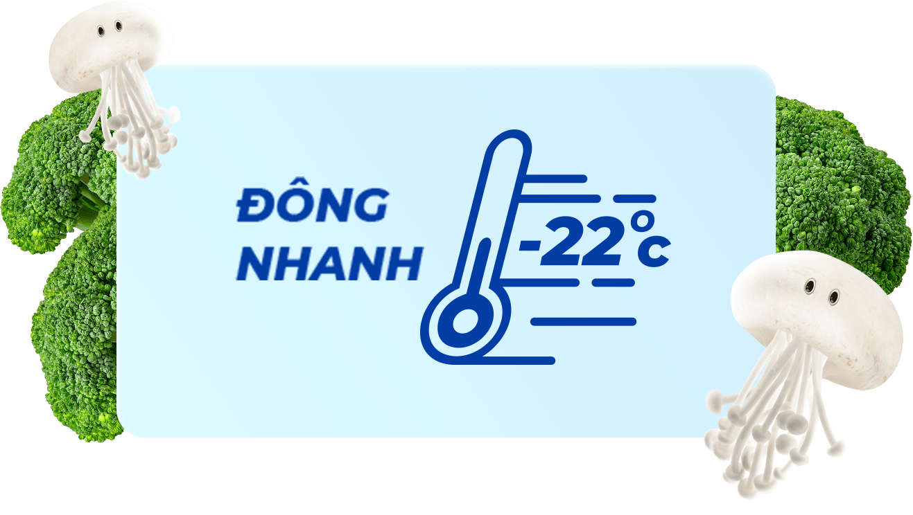 Đông Nhanh -22°C